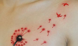 关于纹身的短视频,短视频中的个性表达与文化解读