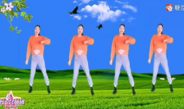 跳舞短视频下载,短视频中的舞蹈魅力下载解析