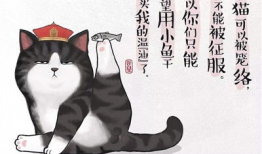 治愈漫画书,漫画书中的温馨疗愈之旅